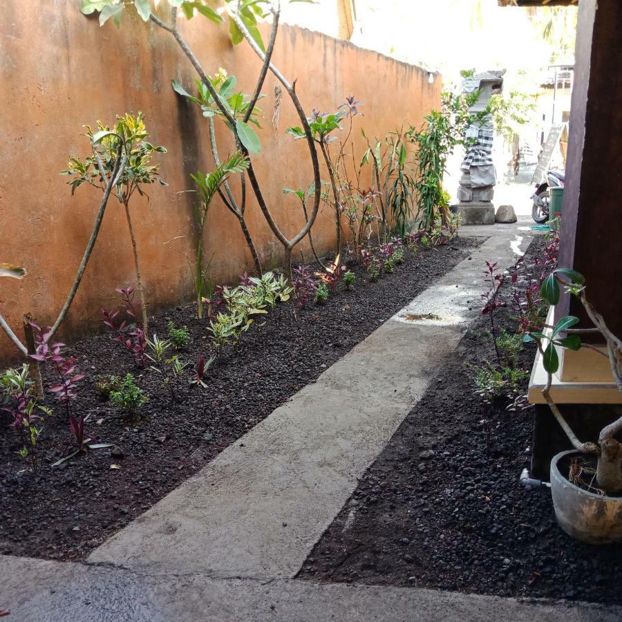 Backpackers Home Amed Экстерьер фото